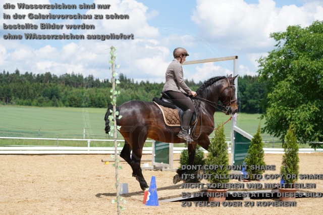 s_K3F06118.JPG